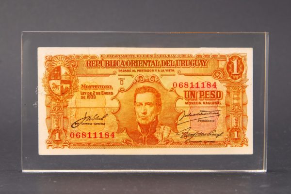 Inclusión en Acrílico